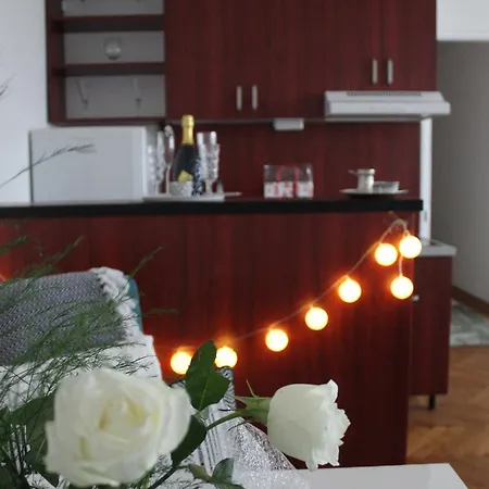 Modern New Oasis Apartment Belgrade