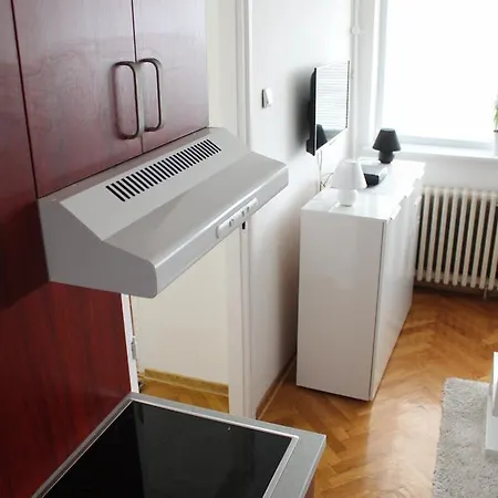 Modern New Oasis Apartment Belgrade